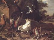 Melchior de Hondecoeter Birds and a Spaniel in a Garden (mk25) oil on canvas